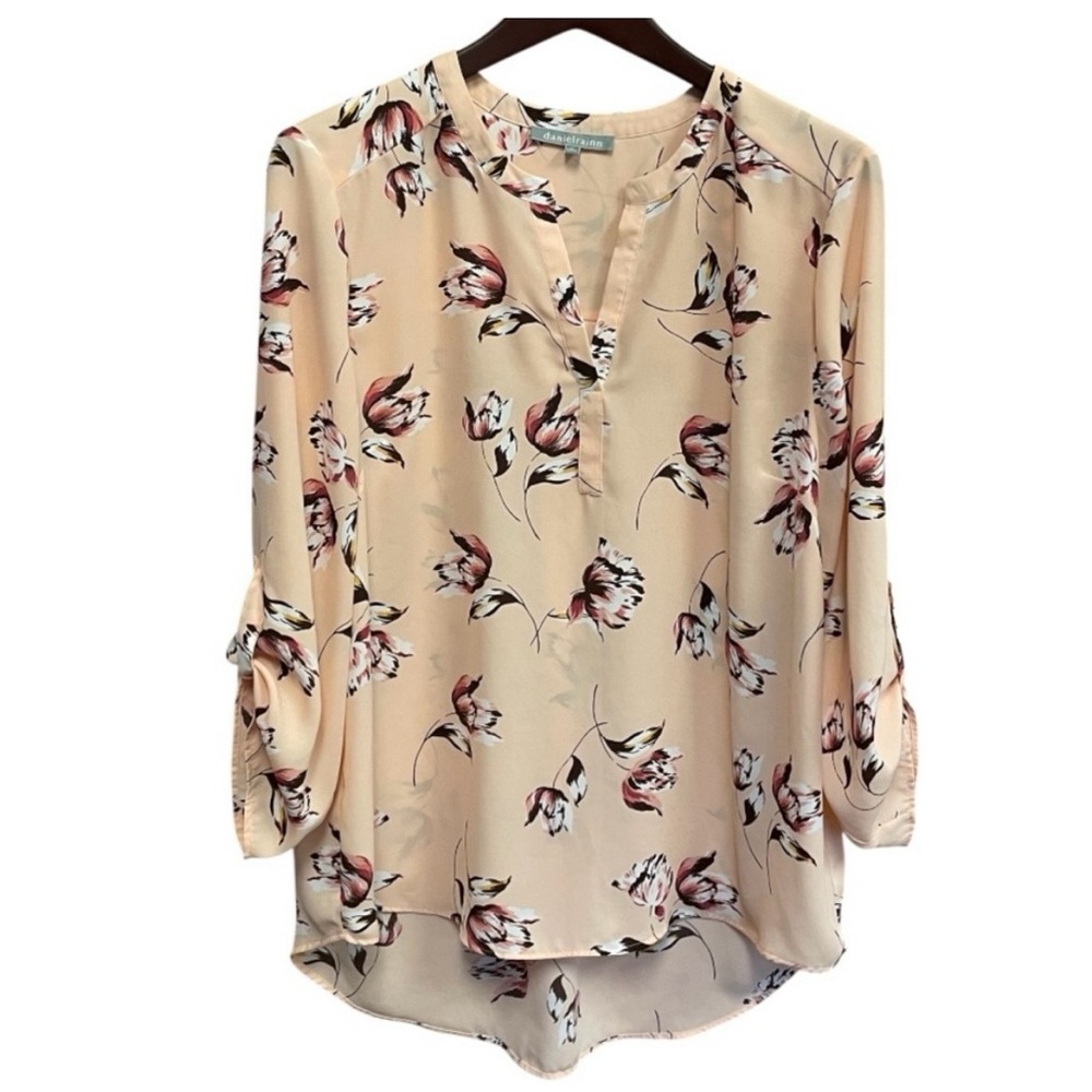 Daniel Rainn feminine popover blouse